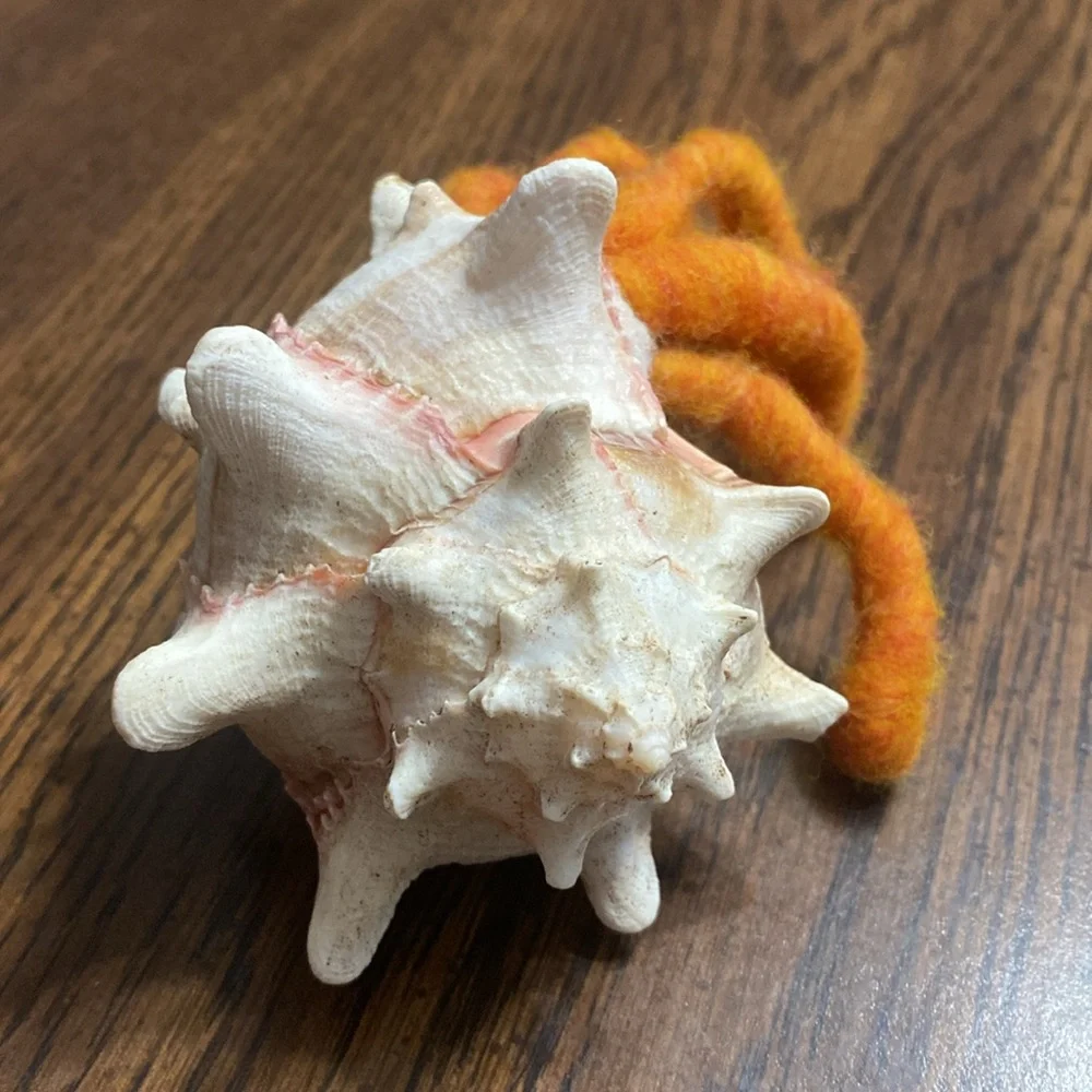 “5/$20” Felted hermit crab in real shell